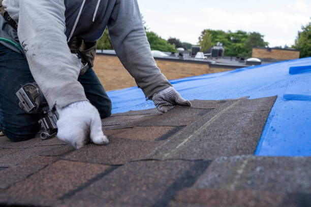 Best Roof Restoration Services  in Wollochet, WA