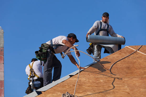 Best Metal Roofing Contractor  in Wollochet, WA